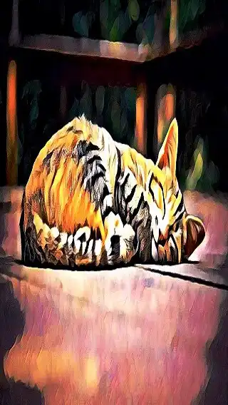 Play Catty wallpaper as an online game Catty wallpaper with UptoPlay