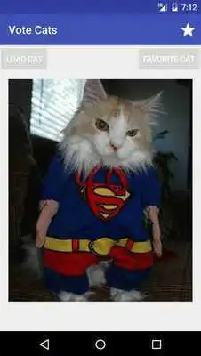 Play Caturday
