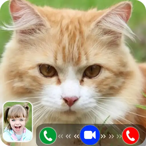 Play Cat Video Call/Fake Video Call APK
