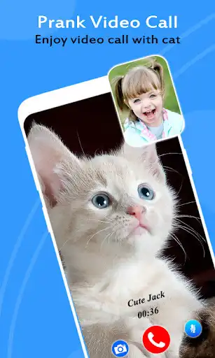 Play Cat Video Call/Fake Video Call  and enjoy Cat Video Call/Fake Video Call with UptoPlay