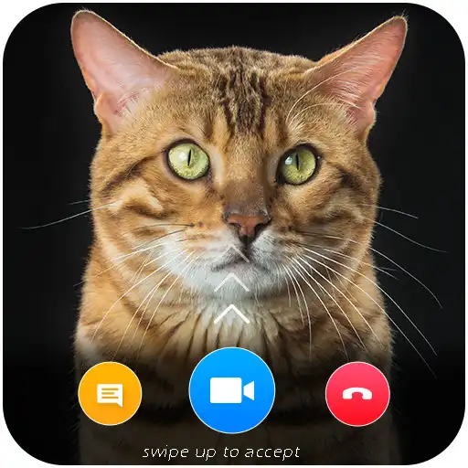 Play Cat Video Calling & Chat Simulator APK Play Cat Video Calling & Chat Simulator APK