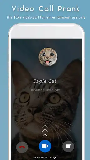 Play Cat Video Calling & Chat Simulator  and enjoy Cat Video Calling & Chat Simulator with UptoPlay