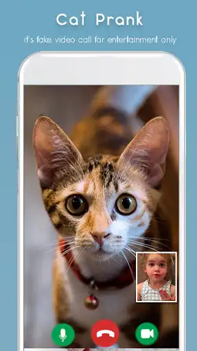 Play Cat Video Calling & Chat Simulator as an online game Cat Video Calling & Chat Simulator with UptoPlay