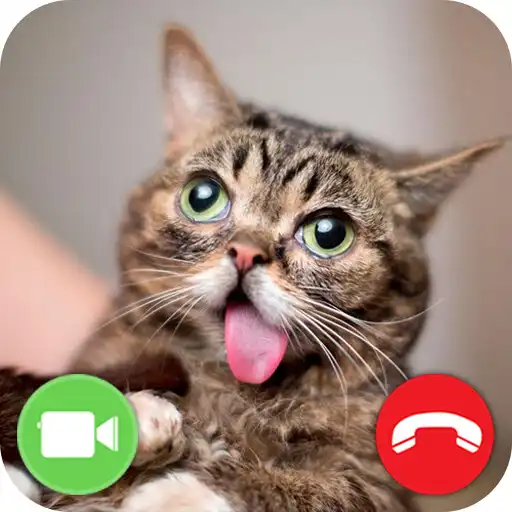 Play Cat Video Call Prank APK