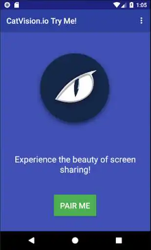Play CatVision.io