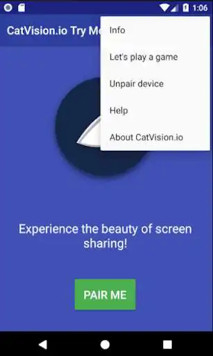 Play CatVision.io