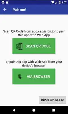 Play CatVision.io