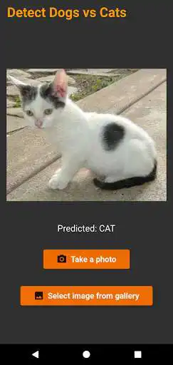Play Cat vs Dog