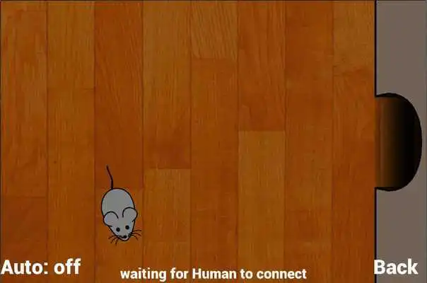 Play Cat vs. Human: Multiplayer