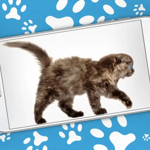 Play Cat Walks in Phone Cute Joke APK Play Cat Walks in Phone Cute Joke APK