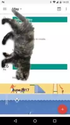 Play Cat Walks in Phone Cute Joke as an online game Cat Walks in Phone Cute Joke with UptoPlay