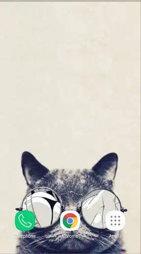 Play Cat Wallpaper 4K and enjoy Cat Wallpaper 4K with UptoPlay Play Cat Wallpaper 4K and enjoy Cat Wallpaper 4K with UptoPlay