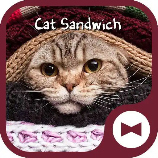 Run free android online Cat Wallpaper Cat Sandwich APK Run free android online Cat Wallpaper Cat Sandwich APK