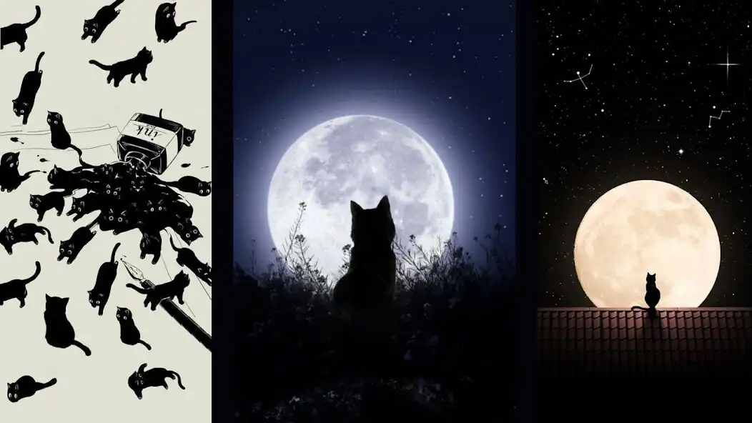 Play Cat Wallpaper Cute  and enjoy Cat Wallpaper Cute with UptoPlay