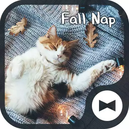 Free play online Cat Wallpaper Fall Nap Theme APK