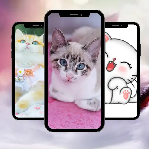 Play cat wallpaper hd 4k : cute cat APK