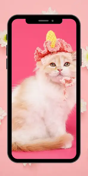Play cat wallpaper hd 4k : cute cat  and enjoy cat wallpaper hd 4k : cute cat with UptoPlay
