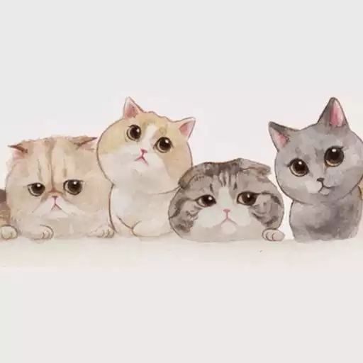 Play Cat Wallpaper APK Play Cat Wallpaper APK