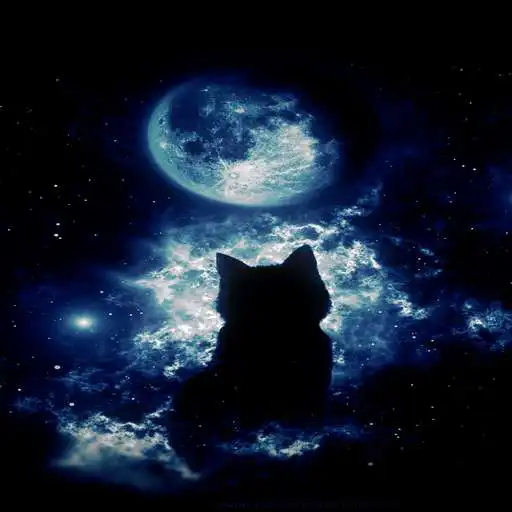 Play Cat Wallpapers Cute APK