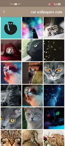 Play Cat Wallpapers Cute  and enjoy Cat Wallpapers Cute with UptoPlay