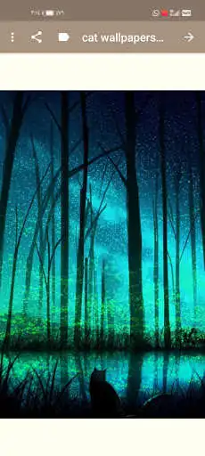 Play Cat Wallpapers Cute as an online game Cat Wallpapers Cute with UptoPlay