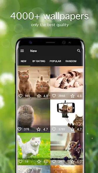 Play Cat Wallpapers PRO  and enjoy Cat Wallpapers PRO with UptoPlay