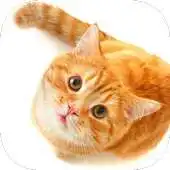 Free play online CAT Wallpapers v1 APK Free play online CAT Wallpapers v1 APK