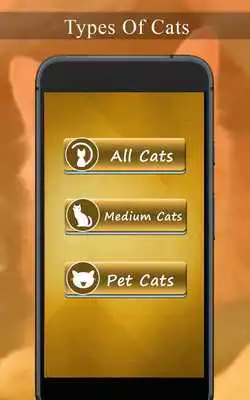 Play Cat Whistle Sound, Anti Cat  Cat Trainer
