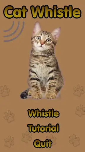 Play Cat Whistle, Trainer free