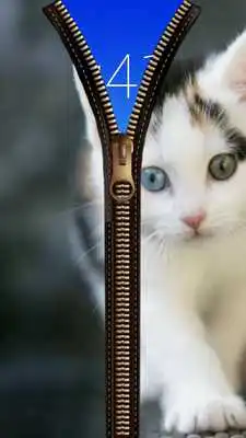 Play Cat Zipper Screen Lock Play Cat Zipper Screen Lock