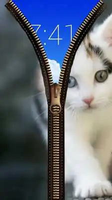 Play Cat Zipper Screen Lock Play Cat Zipper Screen Lock