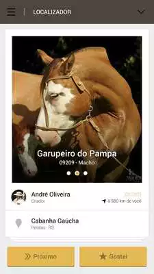 Play Cavalo Crioulo Online