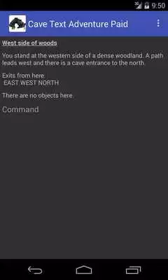 Play Cave Text Adventure