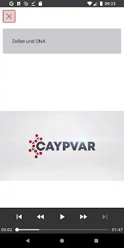 Play Caypvar as an online game Caypvar with UptoPlay