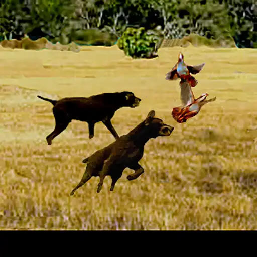 Play caza con perro APK Play caza con perro APK