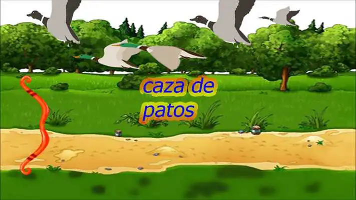 Play Caza de patos neuvo