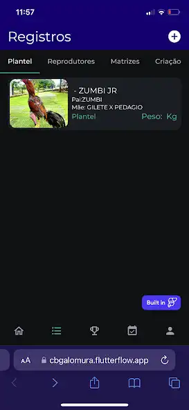 Play CB Galo Mura as an online game CB Galo Mura with UptoPlay