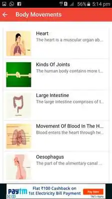 Play CBSE BIOLOGY FOR CLASS 6