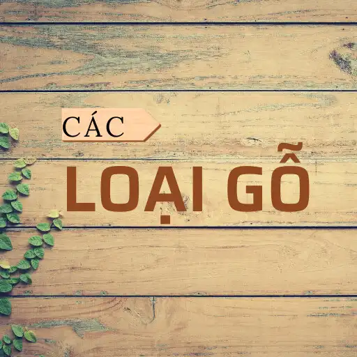 Play Các Loại Gỗ APK