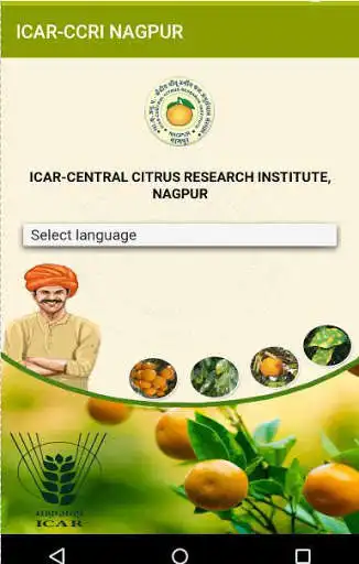 Play CCRI-CITRUS