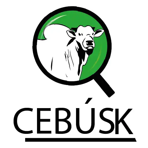 Play CEBUSK APK