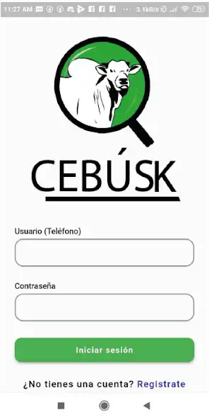 Play CEBUSK  and enjoy CEBUSK with UptoPlay
