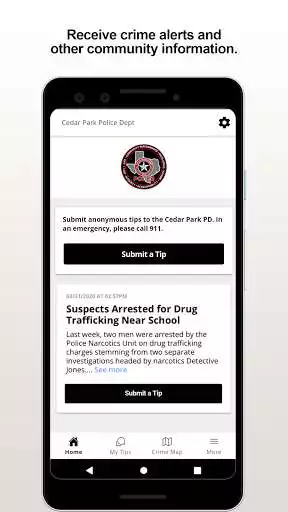 Play Cedar Park PD