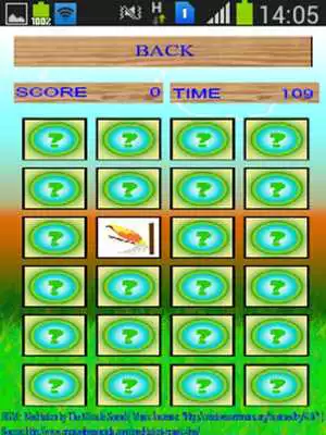Play Celebes Zoo Picture MMG Lite Play Celebes Zoo Picture MMG Lite