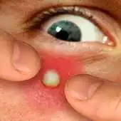 Free play online Celebrity Breakout APK