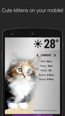 Play Celebrity Foot Doctor Spa Free