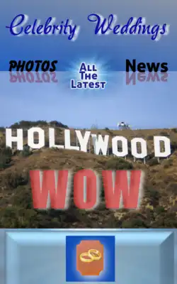 Play Celebrity Weddings