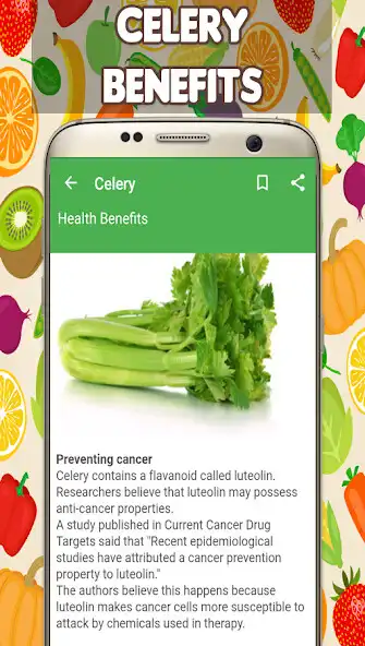 Play Celery Benefits  and enjoy Celery Benefits with UptoPlay