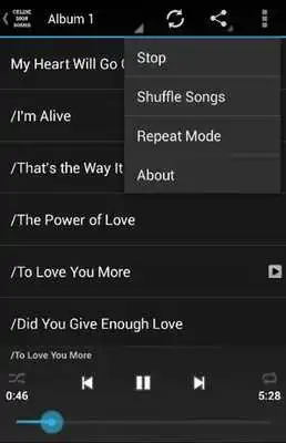 Play Celine Dion Playlist