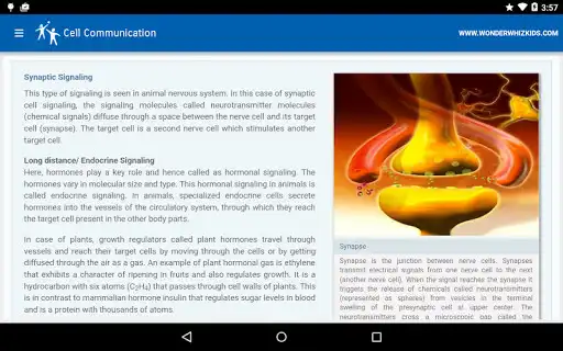 Play Cell Communication as an online game Cell Communication with UptoPlay